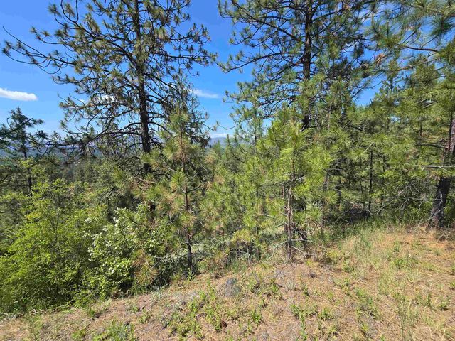 XX Syringa Way, Nine Mile Falls, WA 99026