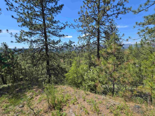 XX Syringa Way, Nine Mile Falls, WA 99026