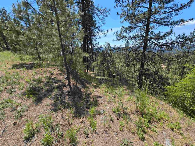 XX Syringa Way, Nine Mile Falls, WA 99026