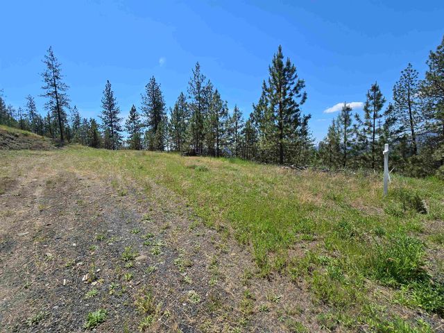 XX Syringa Way, Nine Mile Falls, WA 99026