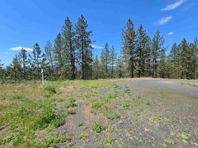 XX Syringa Way, Nine Mile Falls, WA 99026