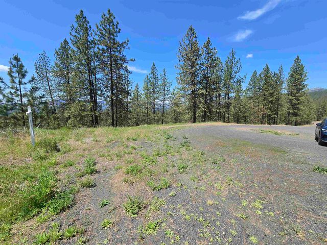 XX Syringa Way, Nine Mile Falls, WA 99026