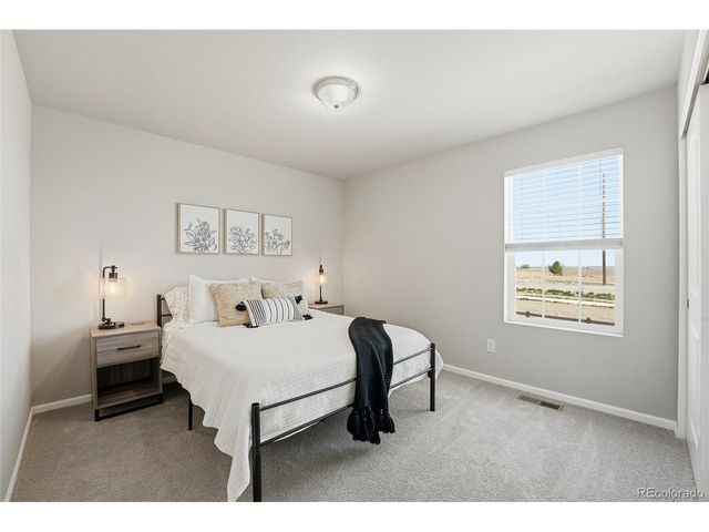 3490 Raintree Ln, Dacono, CO 80514