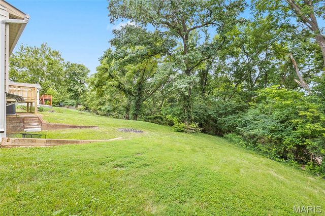 317 Vasel Drive, Fenton, MO 63026