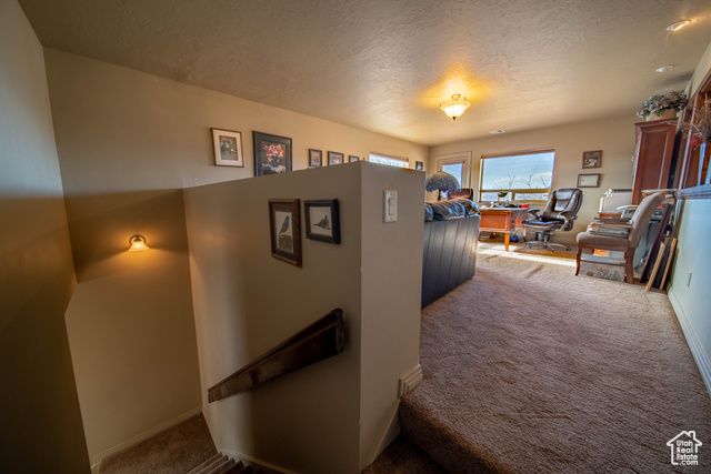 5441 N EAGLE DR, Kenilworth, UT 84529