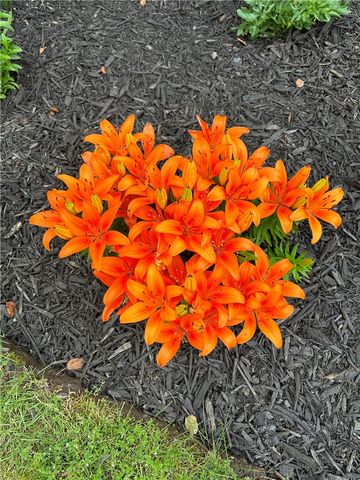 18 Wheatfield Circle, Perinton, NY 14450