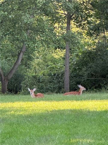 18 Wheatfield Circle, Perinton, NY 14450