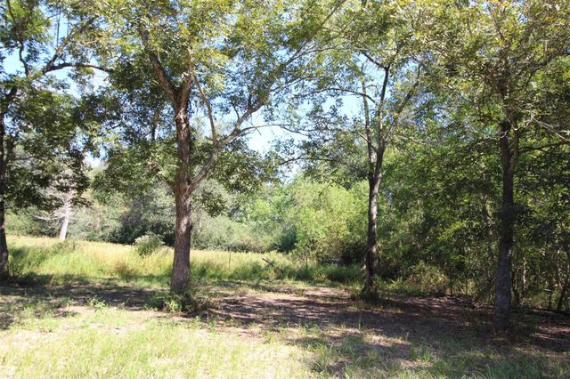 1242 Scroggins Lane, Waller, TX 77484