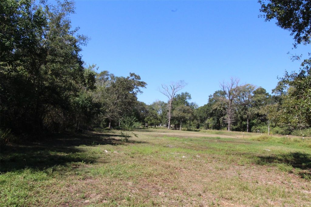 1242 Scroggins Lane, Waller, TX 77484