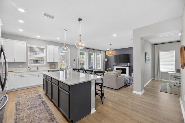 6066 GOLDEN NETTLE DRIVE, Apollo Beach, FL 33572