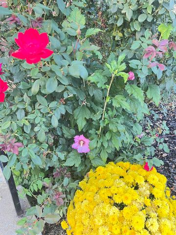 231 HOWARD AVE, Waynesboro, VA 22980