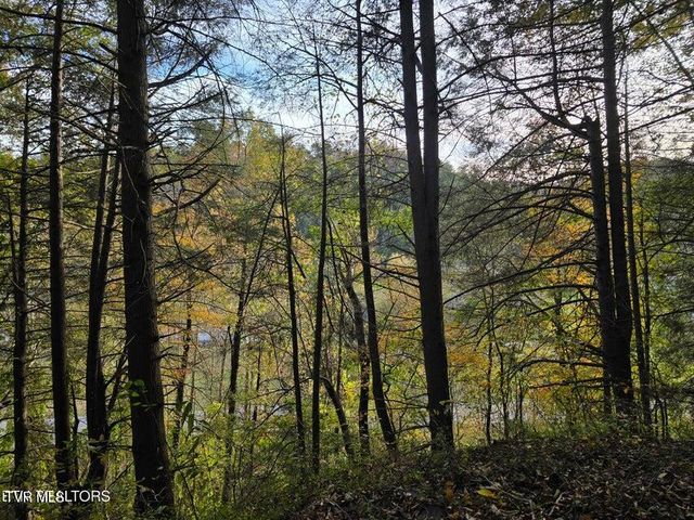 4060 Tazewell Highway, Sneedville, TN 37869