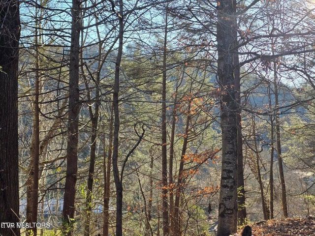 4060 Tazewell Highway, Sneedville, TN 37869