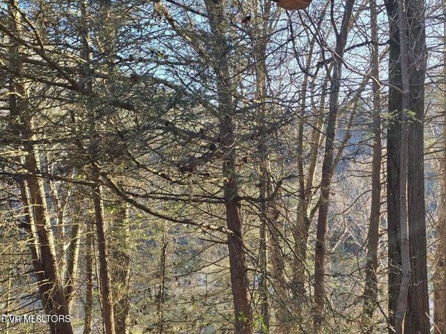 4060 Tazewell Highway, Sneedville, TN 37869