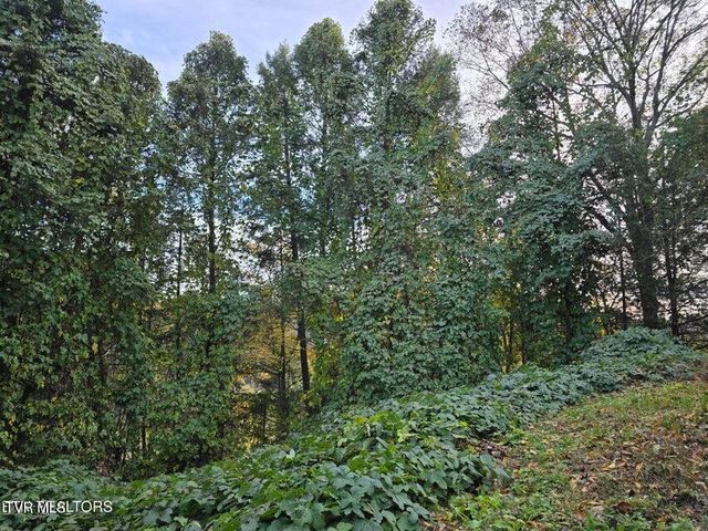 4060 Tazewell Highway, Sneedville, TN 37869