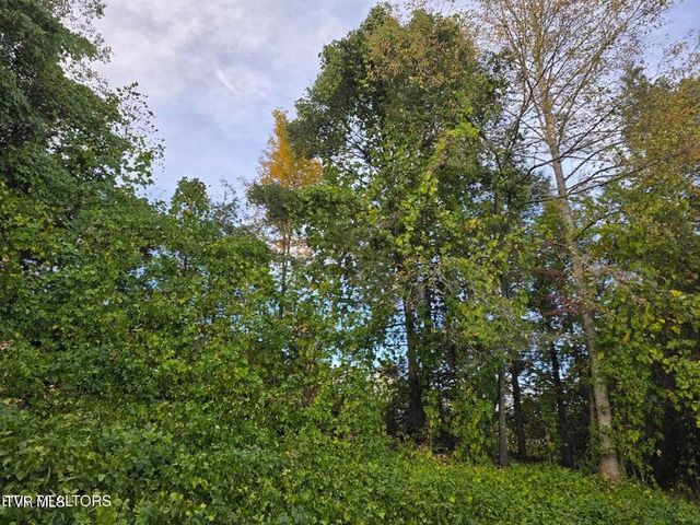 4060 Tazewell Highway, Sneedville, TN 37869