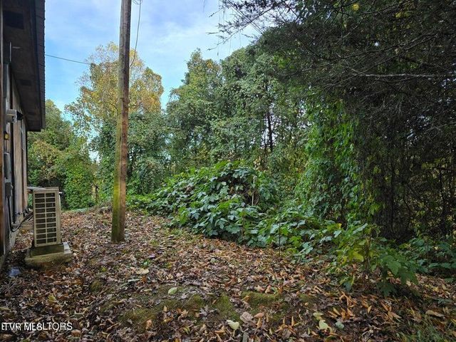 4060 Tazewell Highway, Sneedville, TN 37869