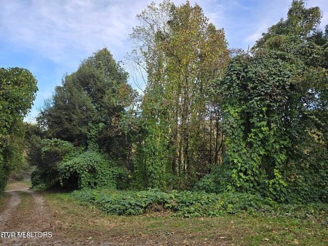 4060 Tazewell Highway, Sneedville, TN 37869