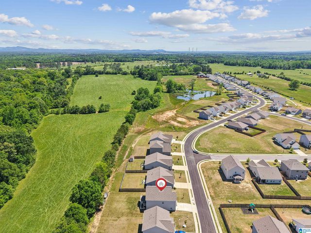5043 PINTAIL DRIVE, Harpersville, AL 35078