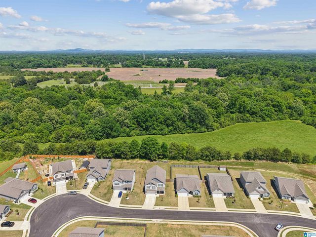 5043 PINTAIL DRIVE, Harpersville, AL 35078