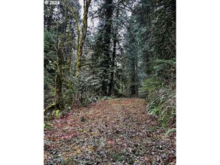 0 WILDLIFE Dr, Washougal, WA 98671