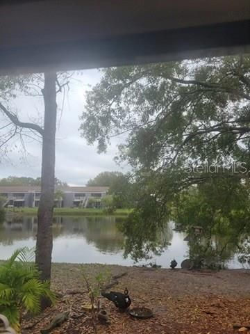 4011 MURIEL PLACE 1C, Tampa, FL 33614