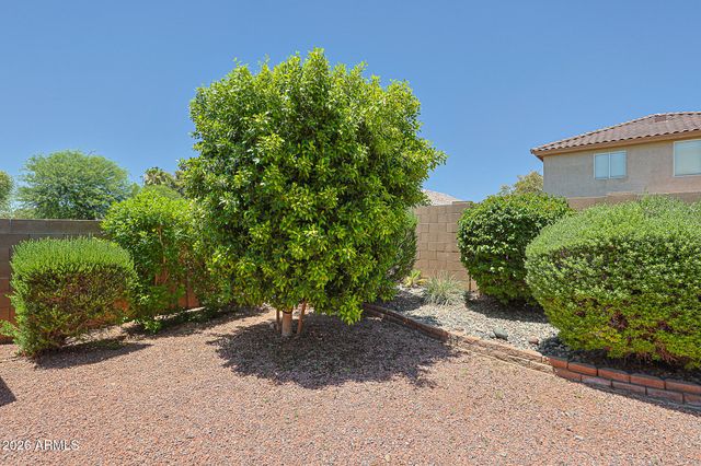 11842 W ALTADENA Avenue N, El Mirage, AZ 85335