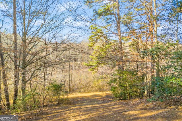 601 Beaver Lake Drive, Clarkesville, GA 30523