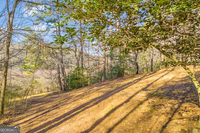 601 Beaver Lake Drive, Clarkesville, GA 30523