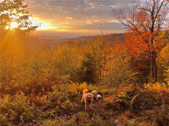 2192 Davis Hollow Road, Andes, NY 13731