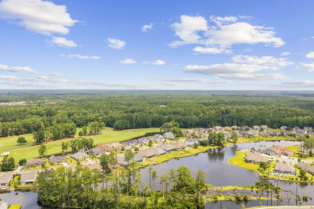 1838 Wood Stork Dr., Conway, SC 29526