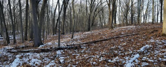 856 Greystone Drive, Lyndon Twp, MI 48118