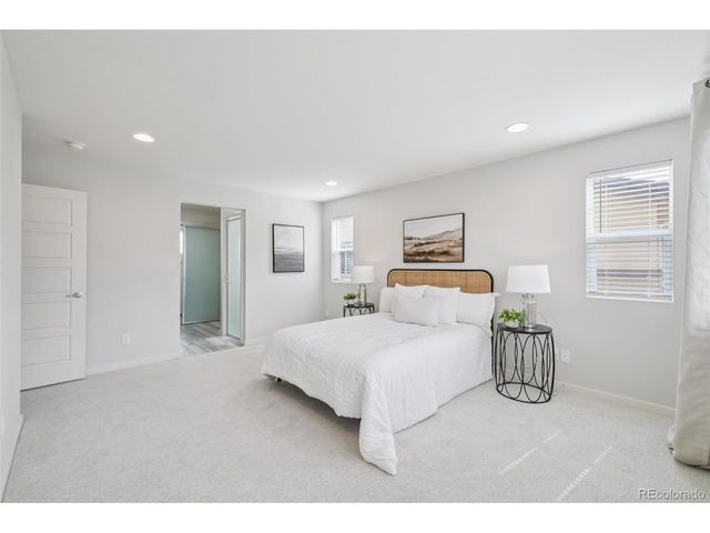 10877 Touchstone Loop, Parker, CO 80134