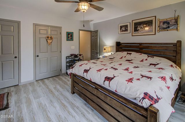 3875 Poplar Lane, Kodak, TN 37764