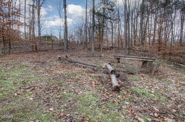 3875 Poplar Lane, Kodak, TN 37764