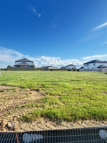 3005 Mistflower Trail, Brookshire, TX 77423