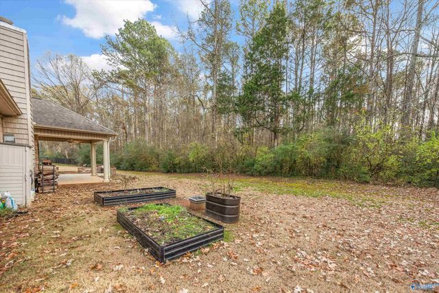 142 Autumn Cove Drive, Madison, AL 35756