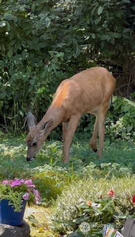 5916 121st Street SE, Snohomish, WA 98296