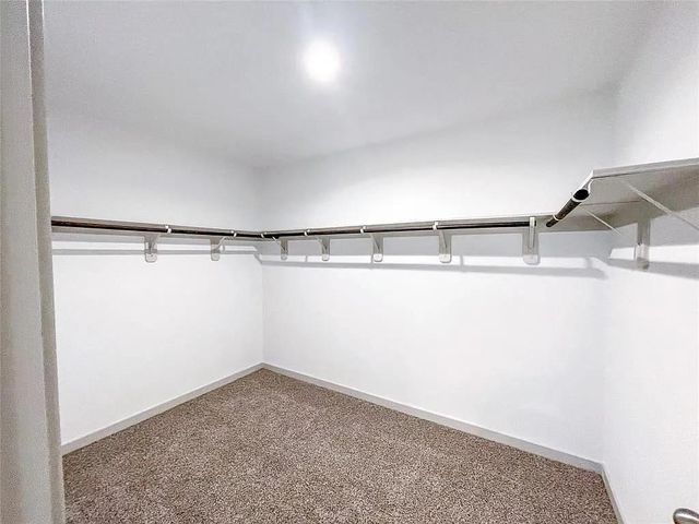 7822 Golden Rubia, Rosharon, TX 77583