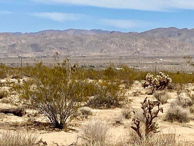 117 Border Road, Joshua Tree, CA 92252