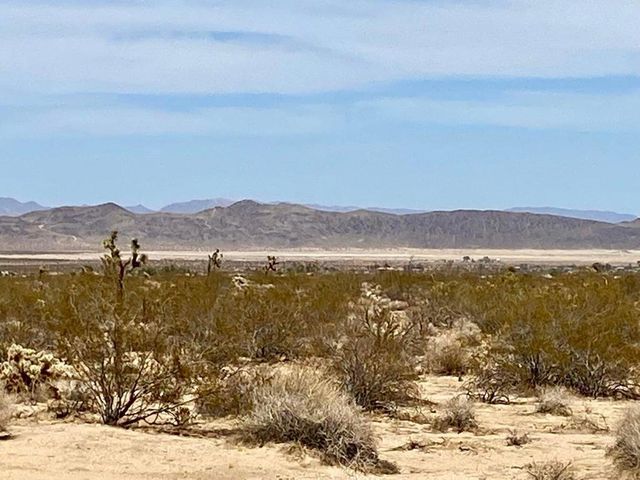 117 Border Road, Joshua Tree, CA 92252