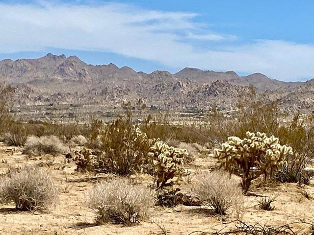 117 Border Road, Joshua Tree, CA 92252