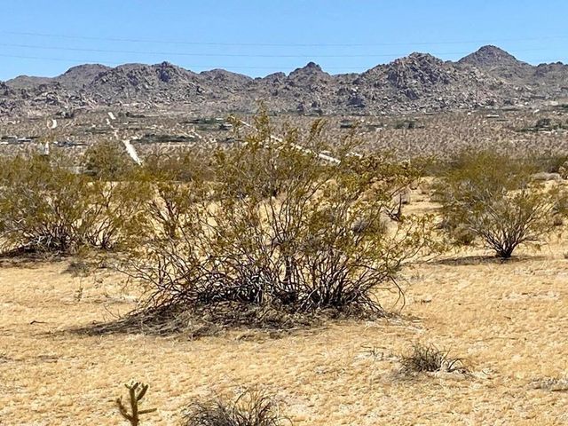 117 Border Road, Joshua Tree, CA 92252