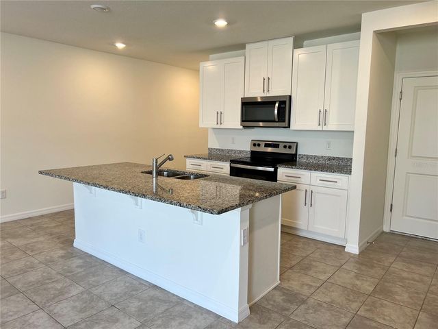 32455 LIMITLESS PLACE, Wesley Chapel, FL 33545