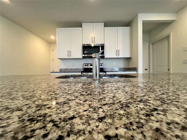 32455 LIMITLESS PLACE, Wesley Chapel, FL 33545