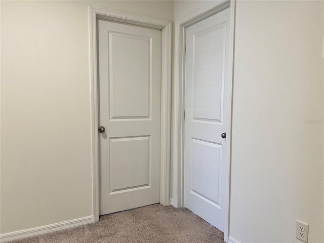 32455 LIMITLESS PLACE, Wesley Chapel, FL 33545