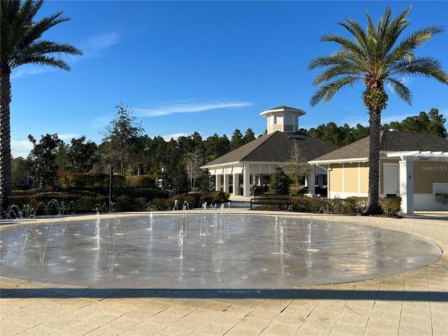 32455 LIMITLESS PLACE, Wesley Chapel, FL 33545