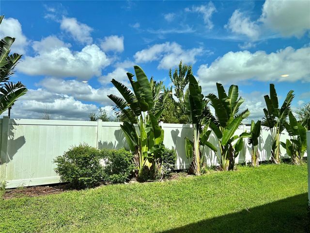 32455 LIMITLESS PLACE, Wesley Chapel, FL 33545