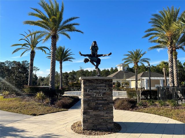 32455 LIMITLESS PLACE, Wesley Chapel, FL 33545
