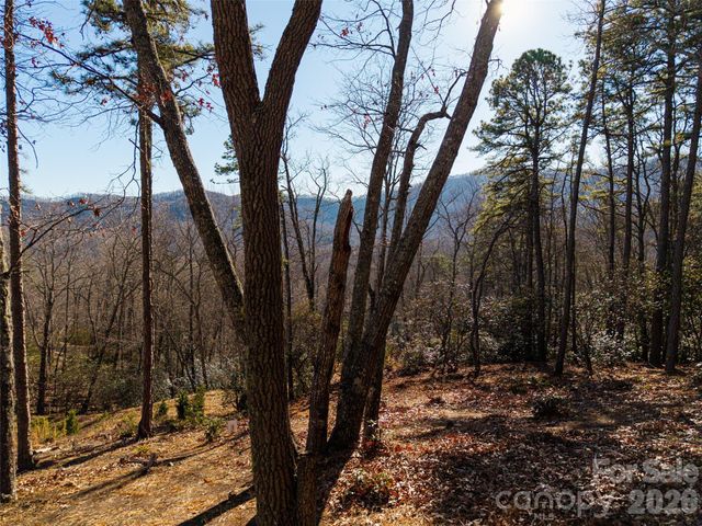 92 Smokey Ridge Trail, Arden, NC 28704